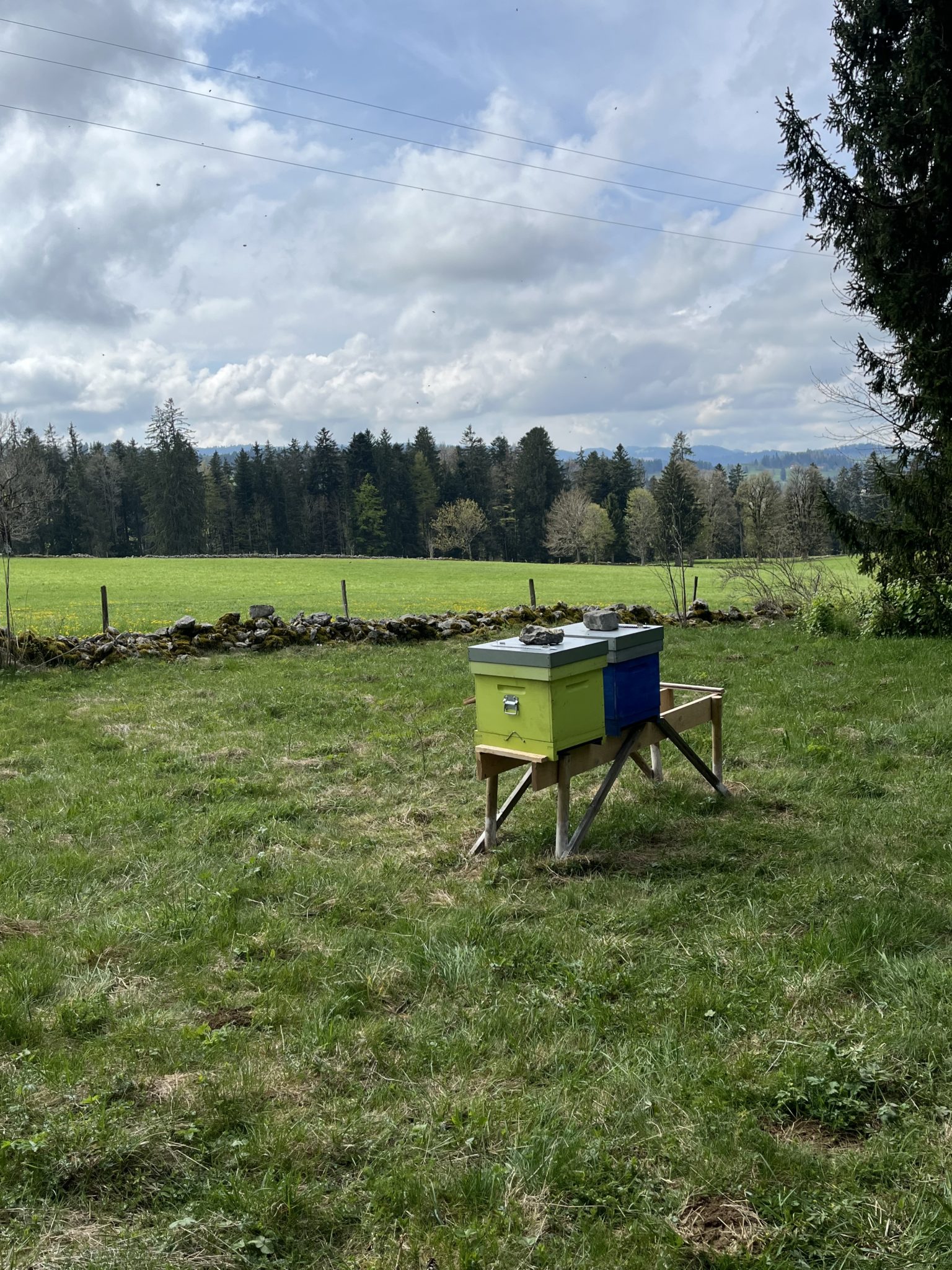 Un rucher sur notre parcours de golf